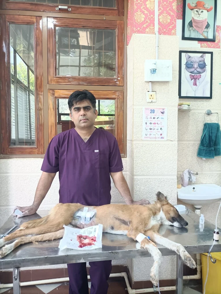 Dr. Anuj Tomar attending to a patient at CANIFELII