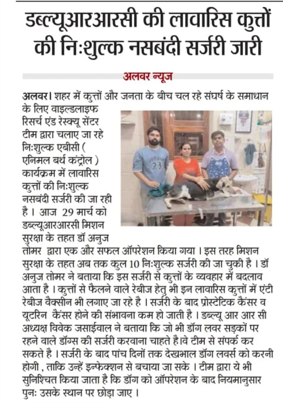 Newspaper clipping about Dr. Anuj Tomar's stray dog surgery work