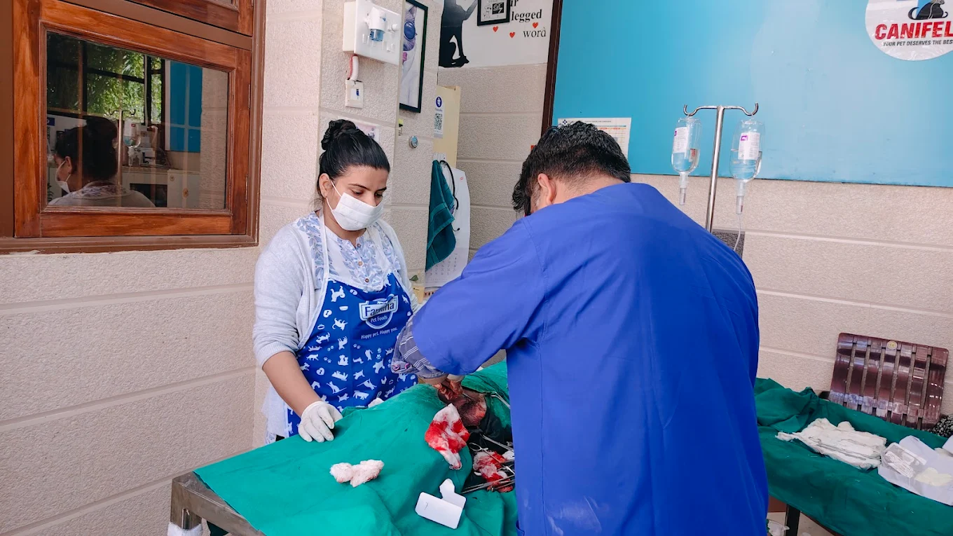 Surgical theatre in progress