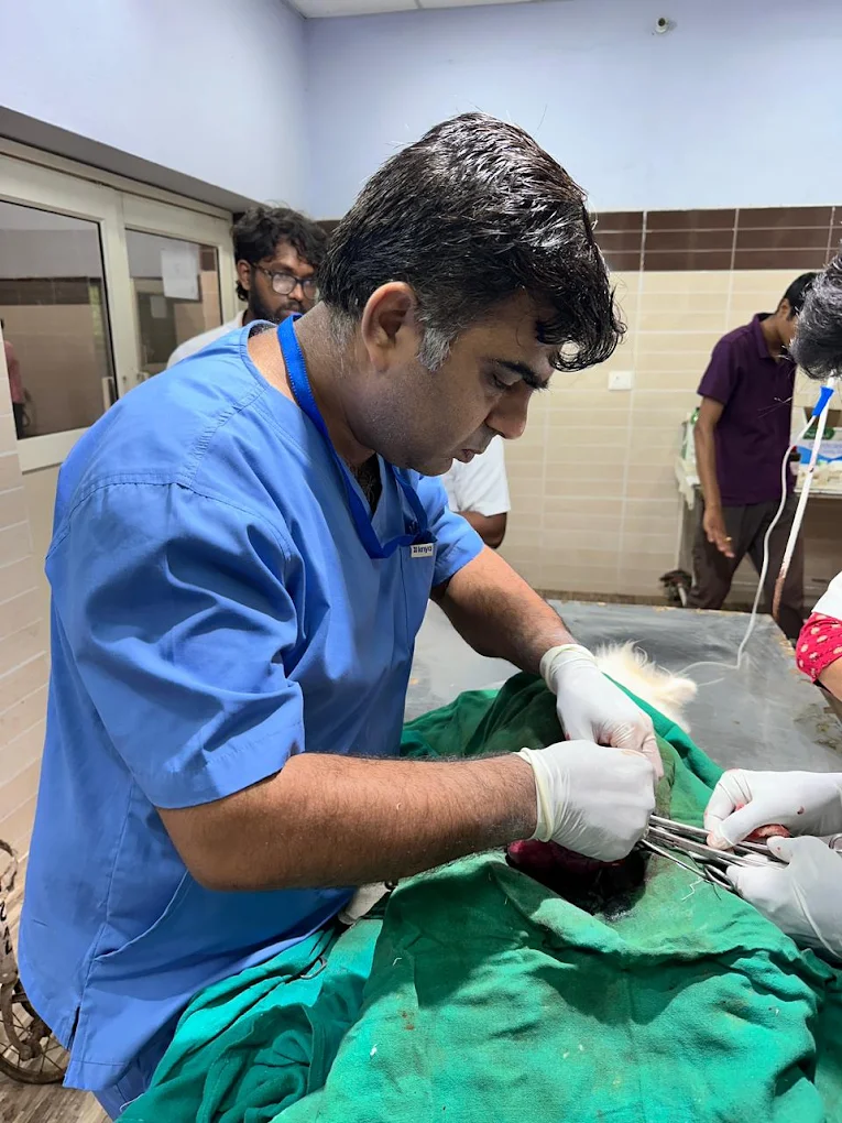 Surgical theatre